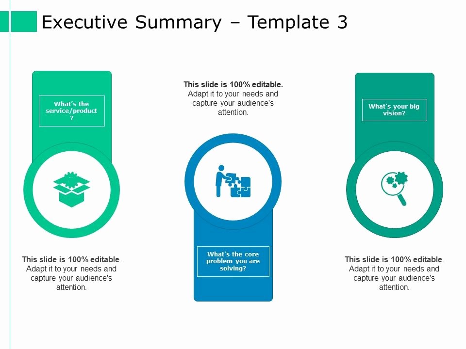 Executive Summary Ppt Template Fresh Executive Summary Ppt Styles Model