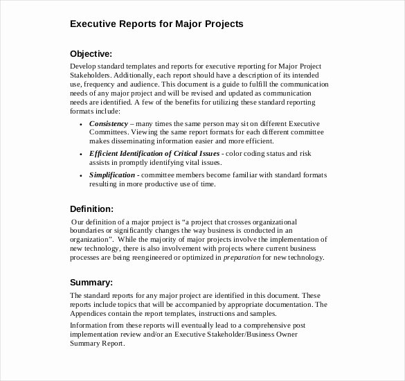 Executive Summary Template for Report Elegant Executive Report Template 15 Free Sample Example