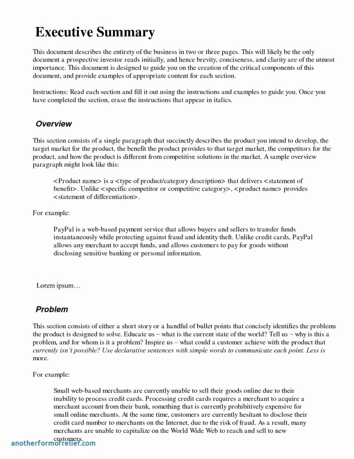 Executive Summary Template for Report Luxury Executive Summary format