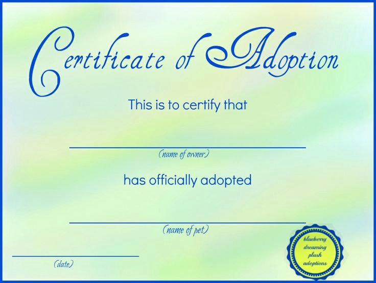 Fake Birth Certificate Template Fresh Printable Stuffed Animal Adoption Certificates