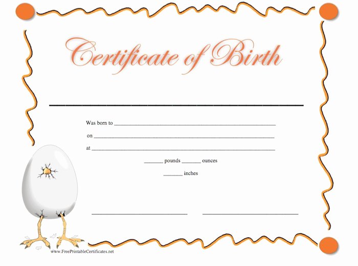 Fake Birth Certificate Template New 15 Birth Certificate Templates Word &amp; Pdf Template Lab