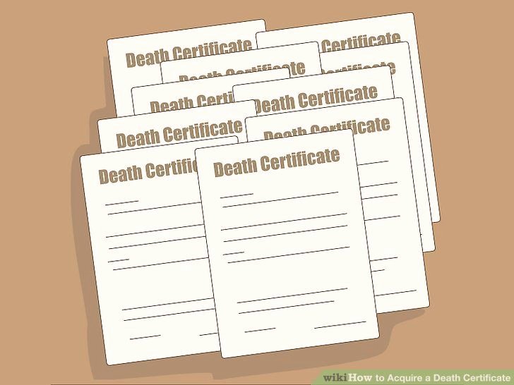 Fake Death Certificate Template Lovely 8 Best Death Certificate Images On Pinterest