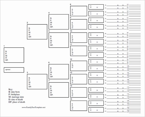 Family Tree Chart Awesome 8 Family Tree Chart Template Free Word Excel Pdf