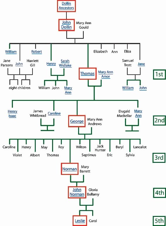 Family Tree Chart Template Awesome 25 Best Ideas About Free Family Tree Template On