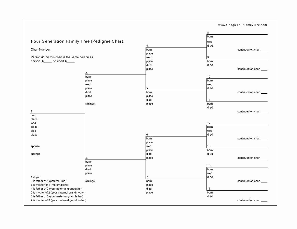 Family Tree Chart Template Best Of 50 Free Family Tree Templates Word Excel Pdf