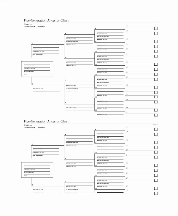 Family Tree Chart Template Best Of Sample Family Tree Chart Template 17 Documents In Pdf