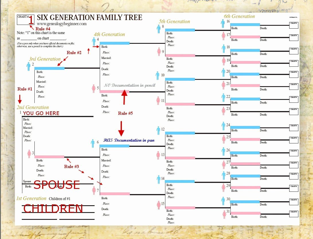 Family Tree Chart Template Elegant Use Smartdraw S Included Family Tree Templates to Easily