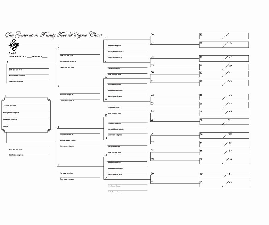 Family Tree Chart Template Fresh 50 Free Family Tree Templates Word Excel Pdf