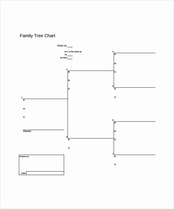 Family Tree Chart Template Fresh Blank Chart Templates 8 Download Free Documents In Pdf
