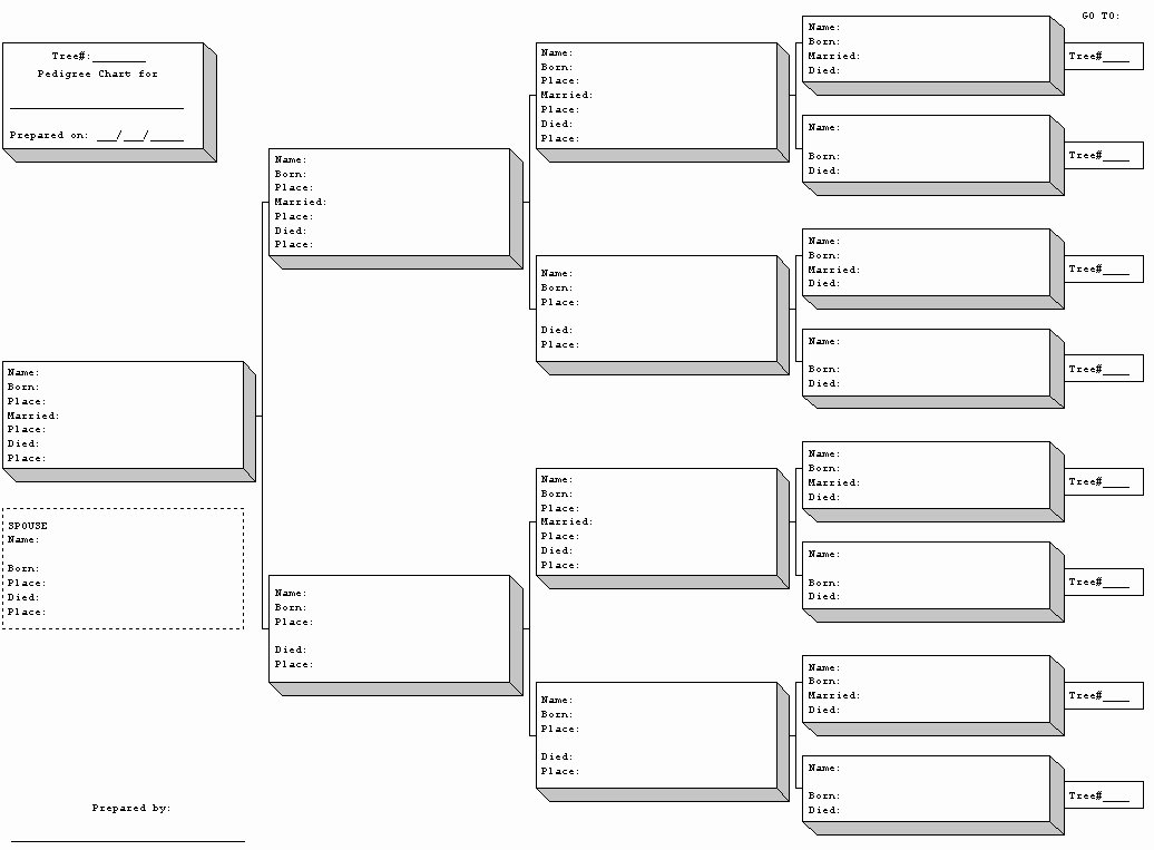 Family Tree forms and Charts Lovely Blank Family Tree Template