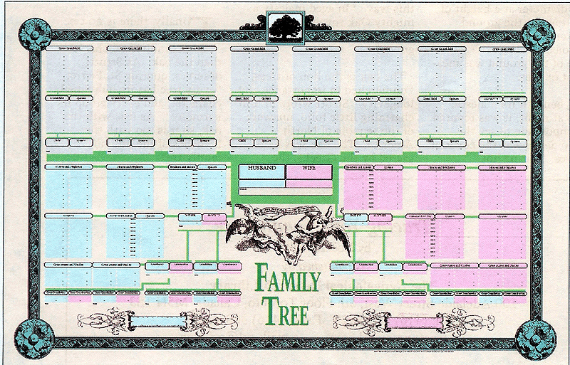 Family Tree forms and Charts Lovely Family Tree Charts &amp; Census forms