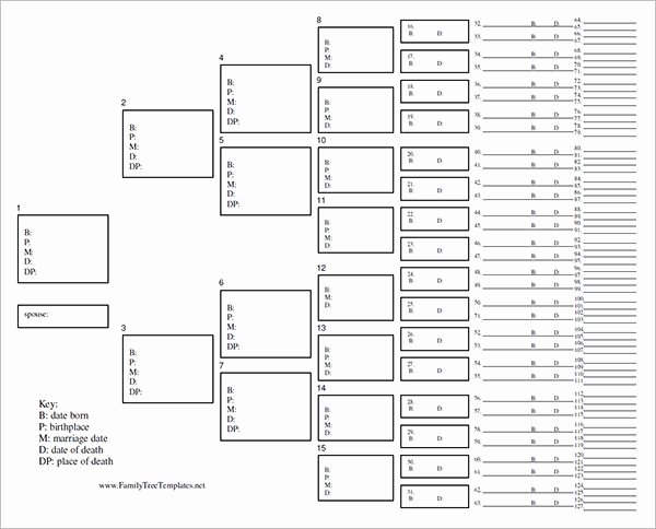 Family Tree forms Printable New Blank Family Tree Template 31 Free Word Pdf Documents