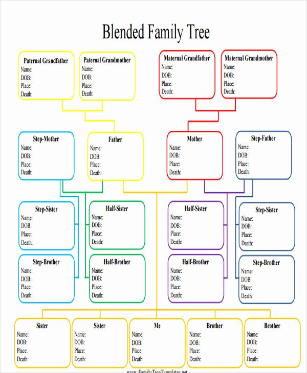 Family Tree Template Doc Best Of 9 Family Tree Template with Siblings Pdf Doc