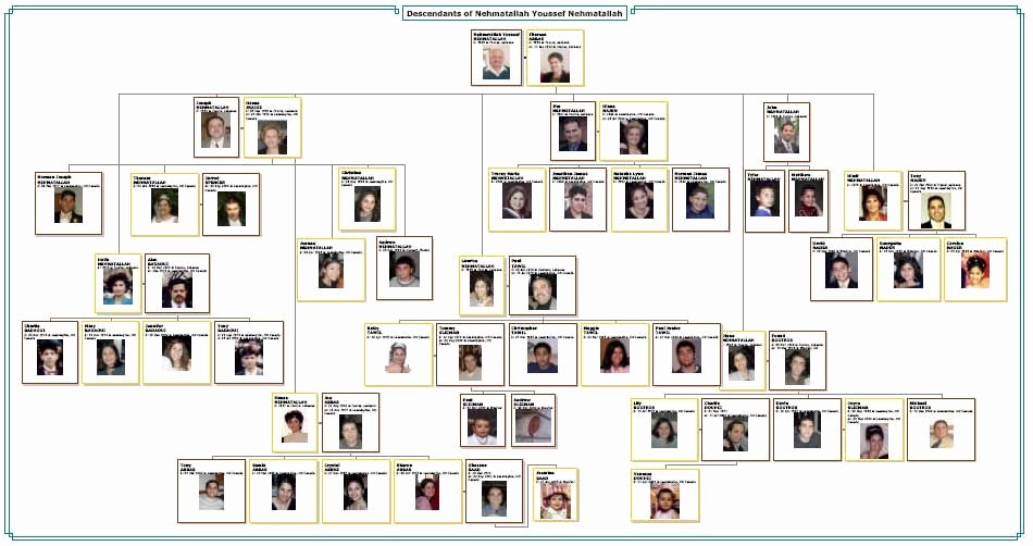 Family Tree Template Microsoft Office Beautiful Family Tree Template Family Tree Maker Tlxgixtc