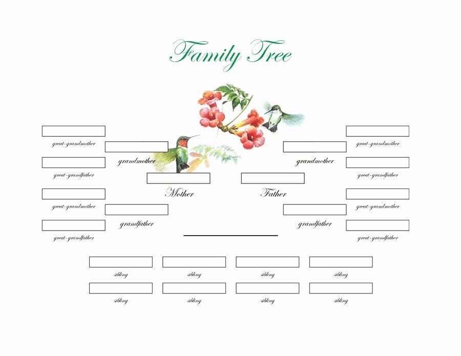 Family Tree Templates Free Online Inspirational Family Tree Printable Free