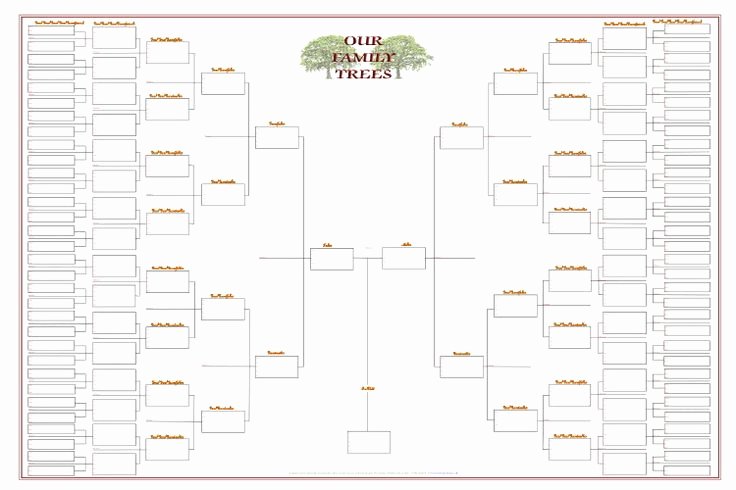 Family Tree Templates Free Online Luxury One Branch Family Tree Chart Template
