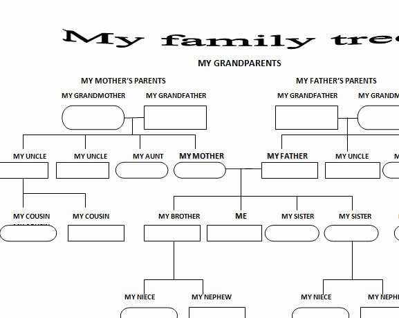 Family Tree Worksheet Printable New Family Tree Worksheet Vocabulary Pinterest