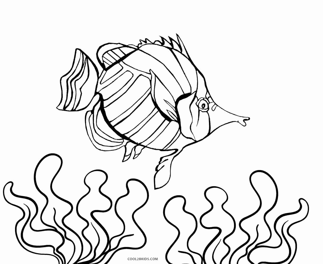Fish Pictures to Print Elegant Free Printable Fish Coloring Pages for Kids