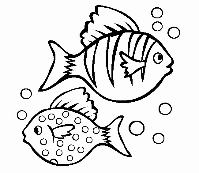 Fish Pictures to Print New 39 Fish Templates