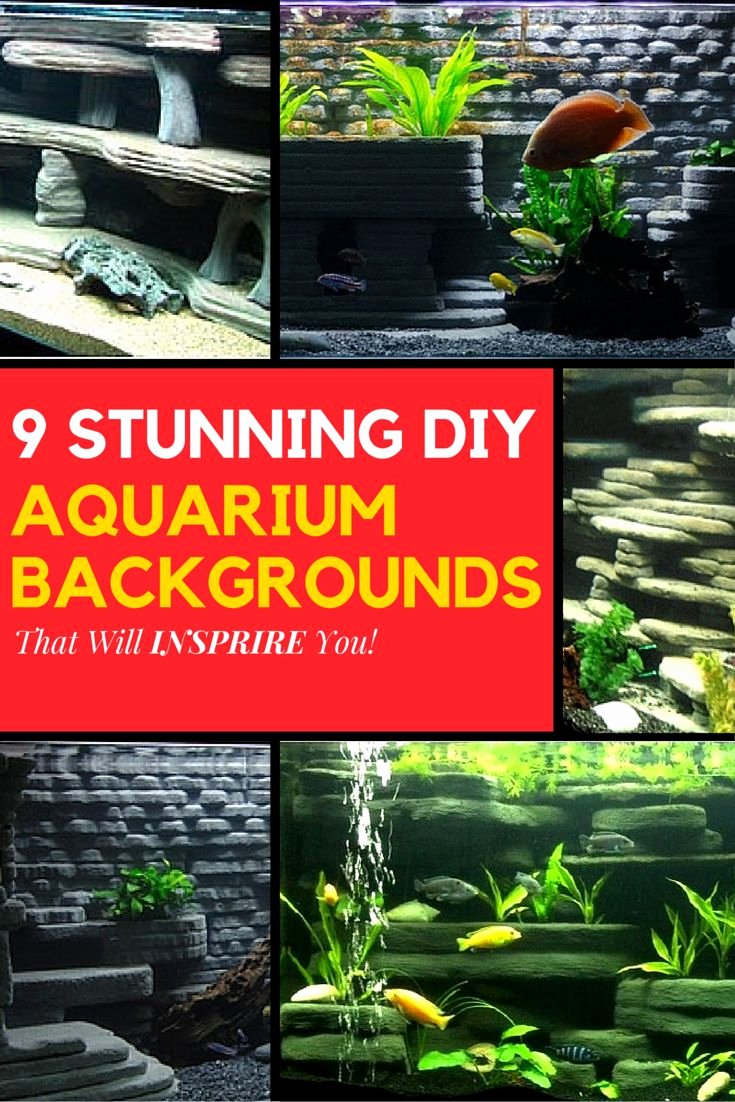 Fish Tank Background Ideas Awesome 25 Best Ideas About Aquarium Backgrounds On Pinterest