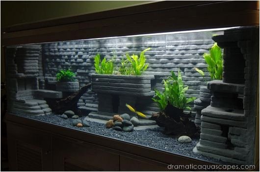 Fish Tank Background Ideas Elegant Dramatic Aquascapes Diy Aquarium Background Bob Kyaw