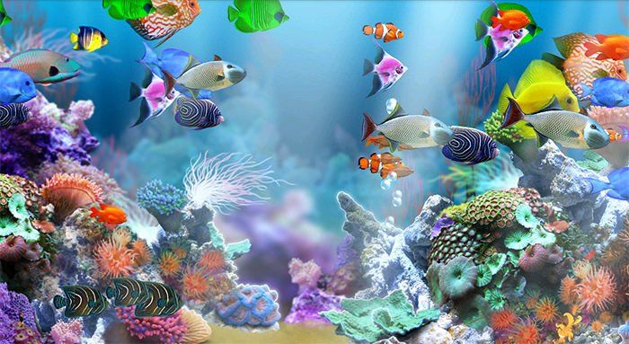 Fish Tank Background Pictures Beautiful 50 Best Aquarium Backgrounds