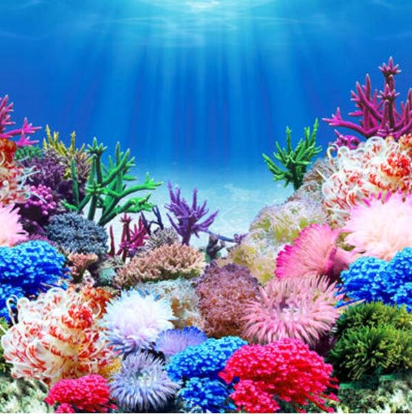 Fish Tank Background Printable Beautiful Aquarium Poster Background 1000 Aquarium Ideas