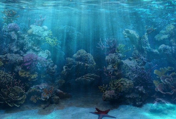 Fish Tank Background Printable Unique 50 Best Aquarium Backgrounds