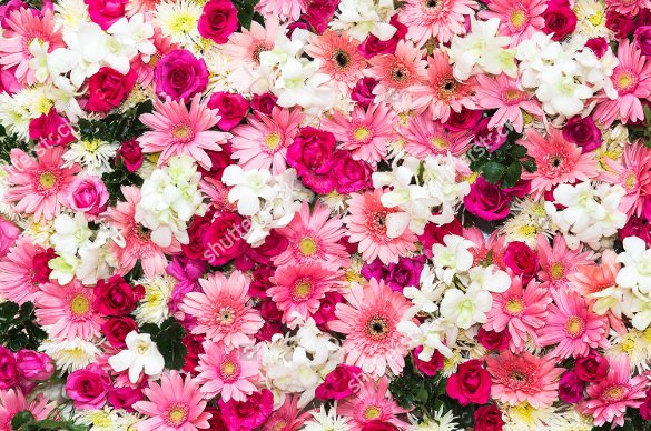 Flower Background Design Images Inspirational Flower Backgrounds – 30 Free Jpg Png Psd Ai Vector