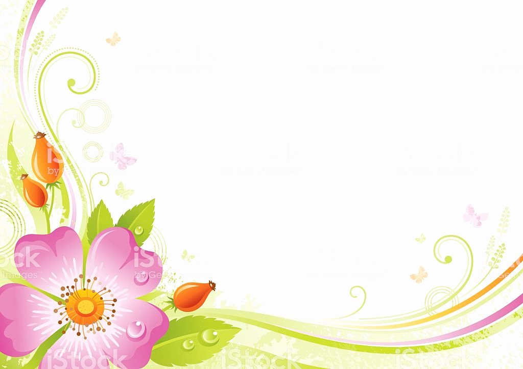 Flower Background Design Images New Flower Background with Copyspace Pink Wild Rose Stock