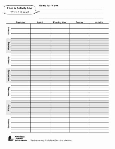 Food and Activity Log Luxury 9 Activity Log Examples Pdf
