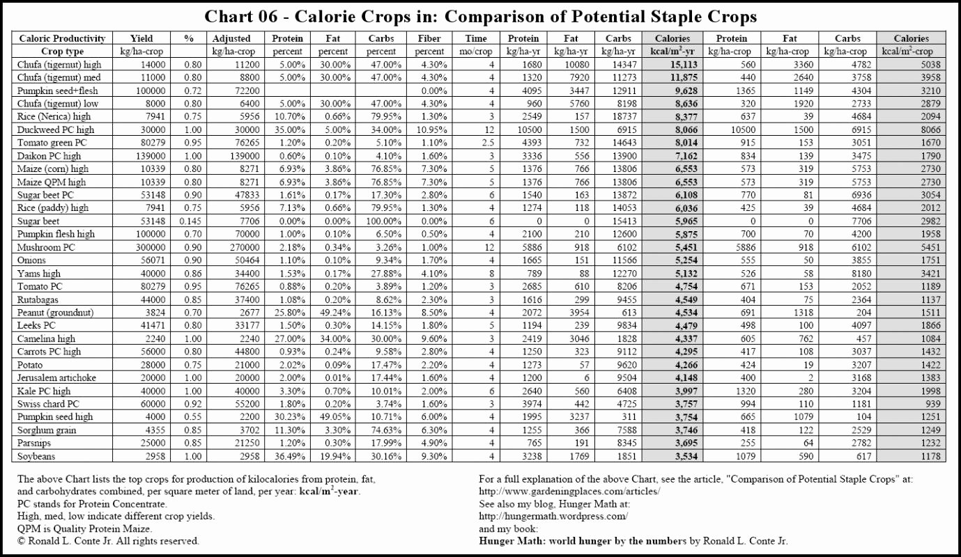 Food Calorie Chart Best Of Food Calorie Chart
