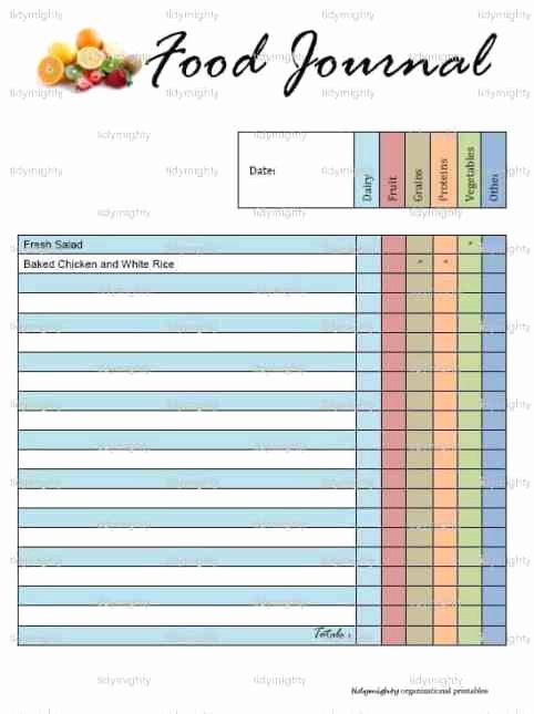 Food Diary Template Word Best Of 21 Free Food Journal Template Word Excel formats