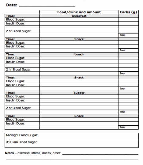 Food Diary Template Word Elegant 21 Free Food Journal Template Word Excel formats