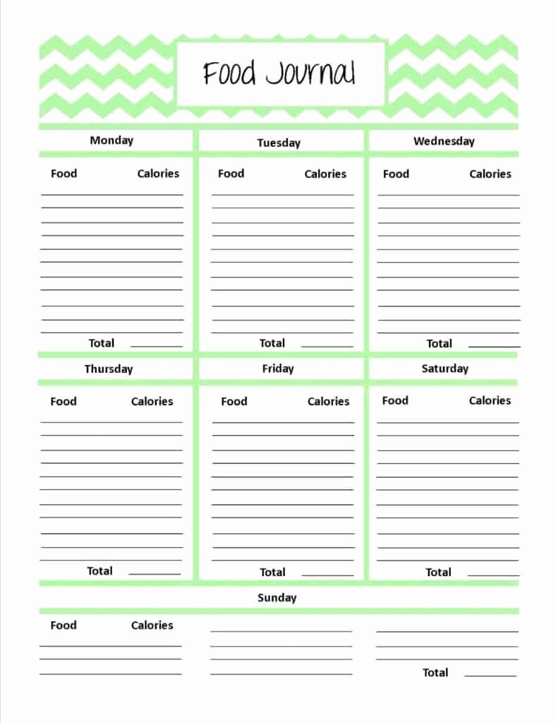 Food Diary Template Word Lovely 21 Free Food Journal Template Word Excel formats