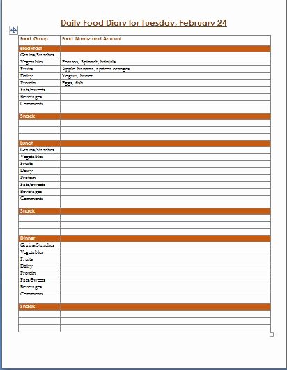 Food Diary Template Word Unique Daily Food Diary and Log Template