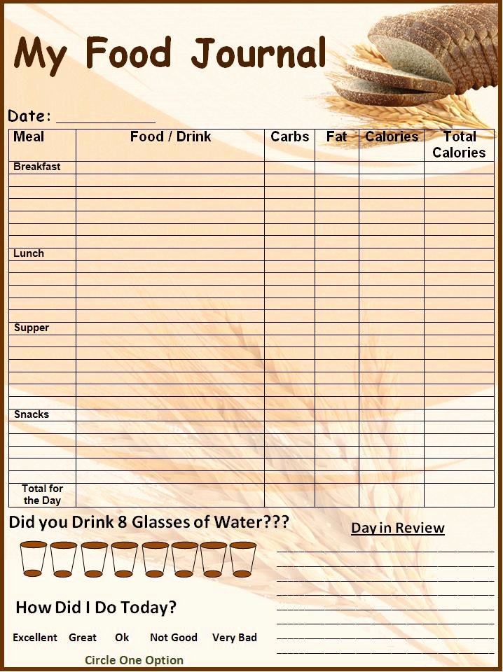 Food Log Template Excel Awesome Food Log Template Printable In Excel format Excel Template