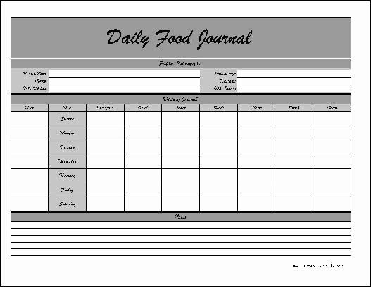 Food Log Template Excel New Best S Of Daily Food Log Excel Free Daily Food Log