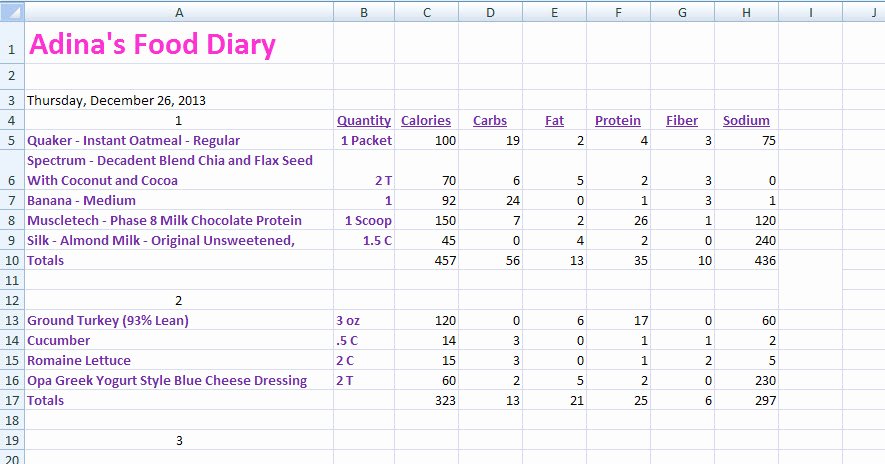 Food Log Template Excel New Best S Of Weekly Food Log Excel Weekly Food Diary