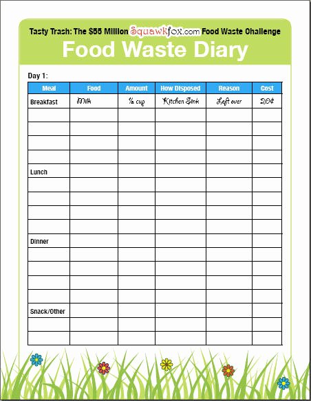 Food Log Template Excel New Save Money by Keeping A Food Waste Diary Squawkfox