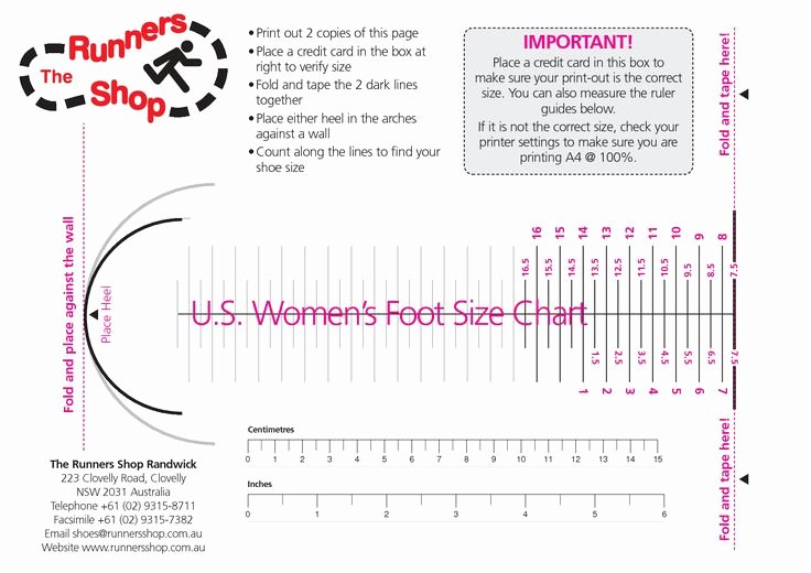 Foot Measurement Chart Printable Beautiful Womens Shoe Size Chart Women S Foot Size Chart