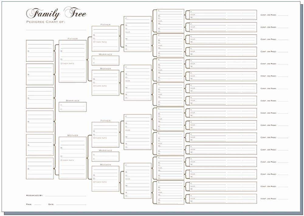Form for Family Tree Luxury A3 Six Generation Family Tree Chart Pedigree Pack Of 3