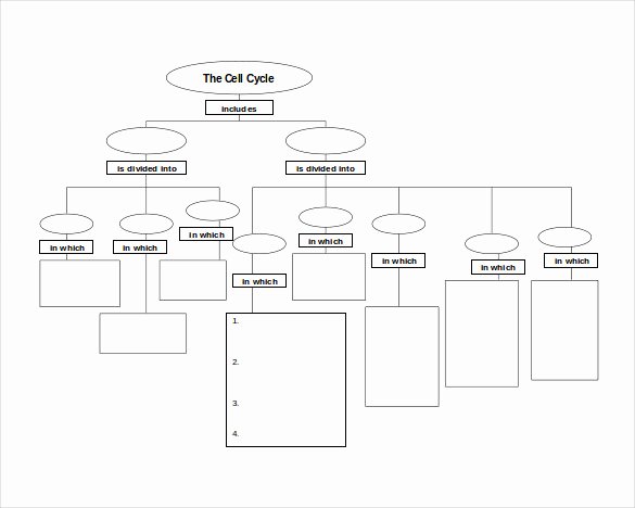 Free Concept Mapping Templates Beautiful why is A Concept Map Template Essential for People Fotolip