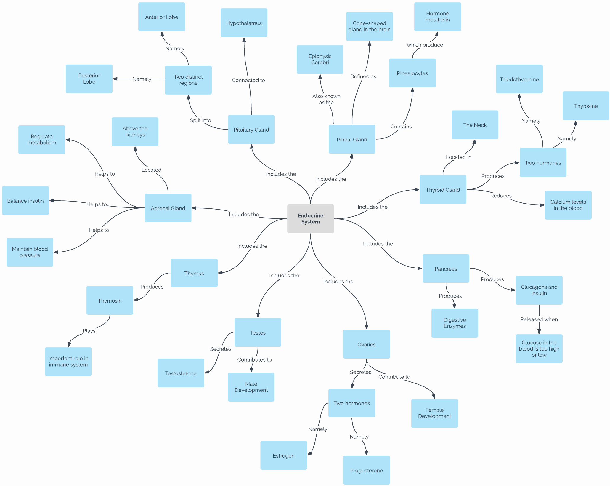 Free Concept Mapping Templates Lovely How to Make A Concept Map