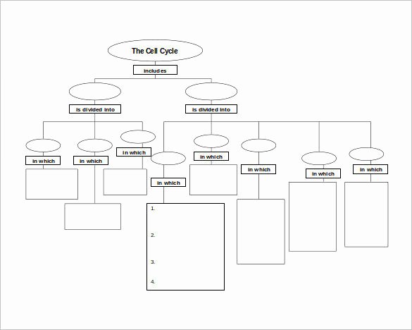 Free Concept Mapping Templates Luxury 45 Printable Concept Map Templates Word Pdf Doc Free