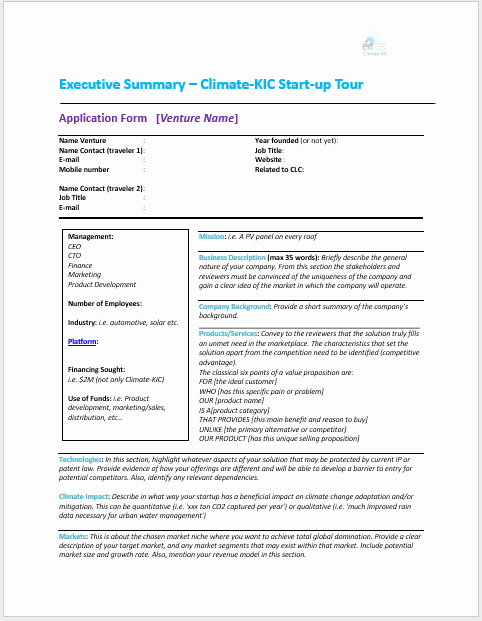 Free Executive Summary Template Lovely 18 Free Executive Summary Templates Ms Fice Documents