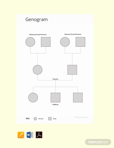 Free Genogram software for Mac Inspirational Free Blank Genogram Template Download 58 Family Trees In