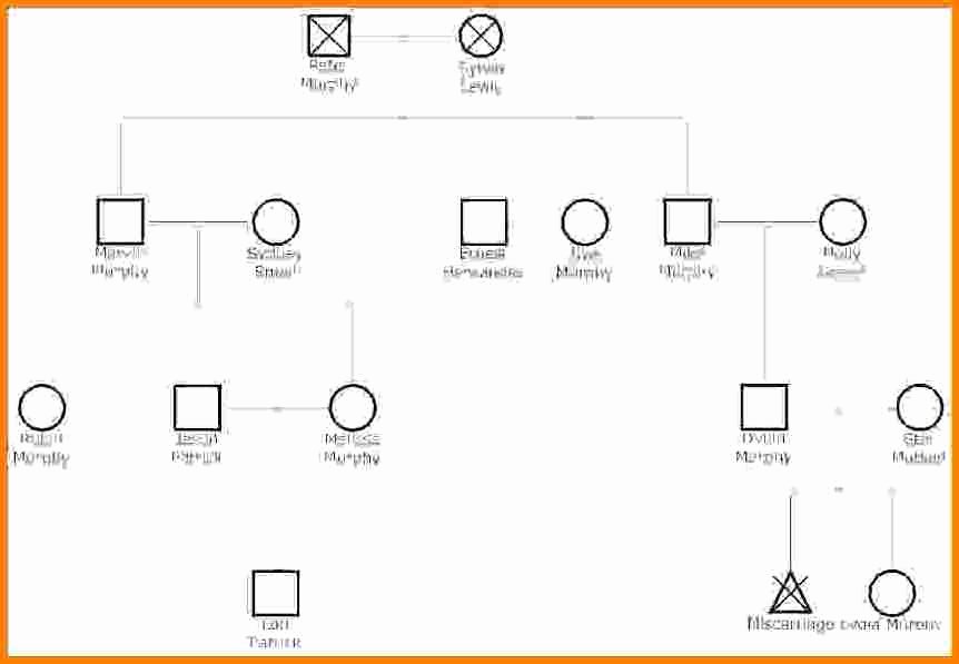 30 Free Genogram software for Mac Example Document Template