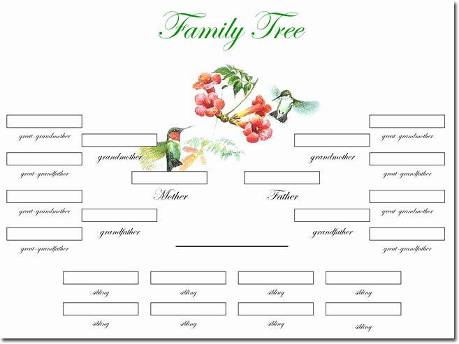 Free Online Genogram Creator Elegant 21 Genogram Templates Easily Create Family Charts
