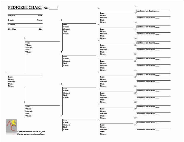 Free Pedigree Chart Template Best Of Free Genealogy Research Kit Free Predigree Chart Free